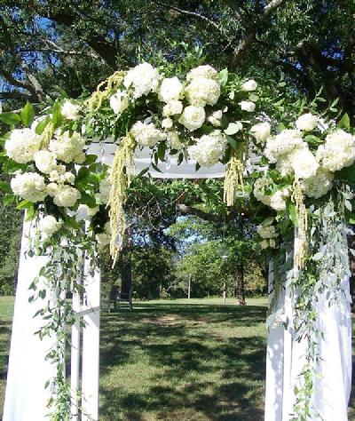 White arbor flowers